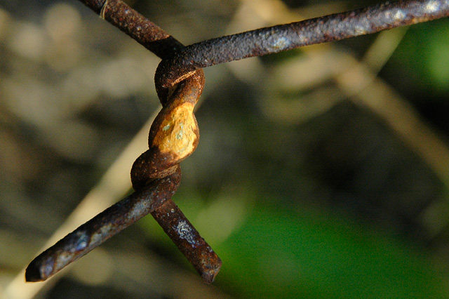 Rusty Fence